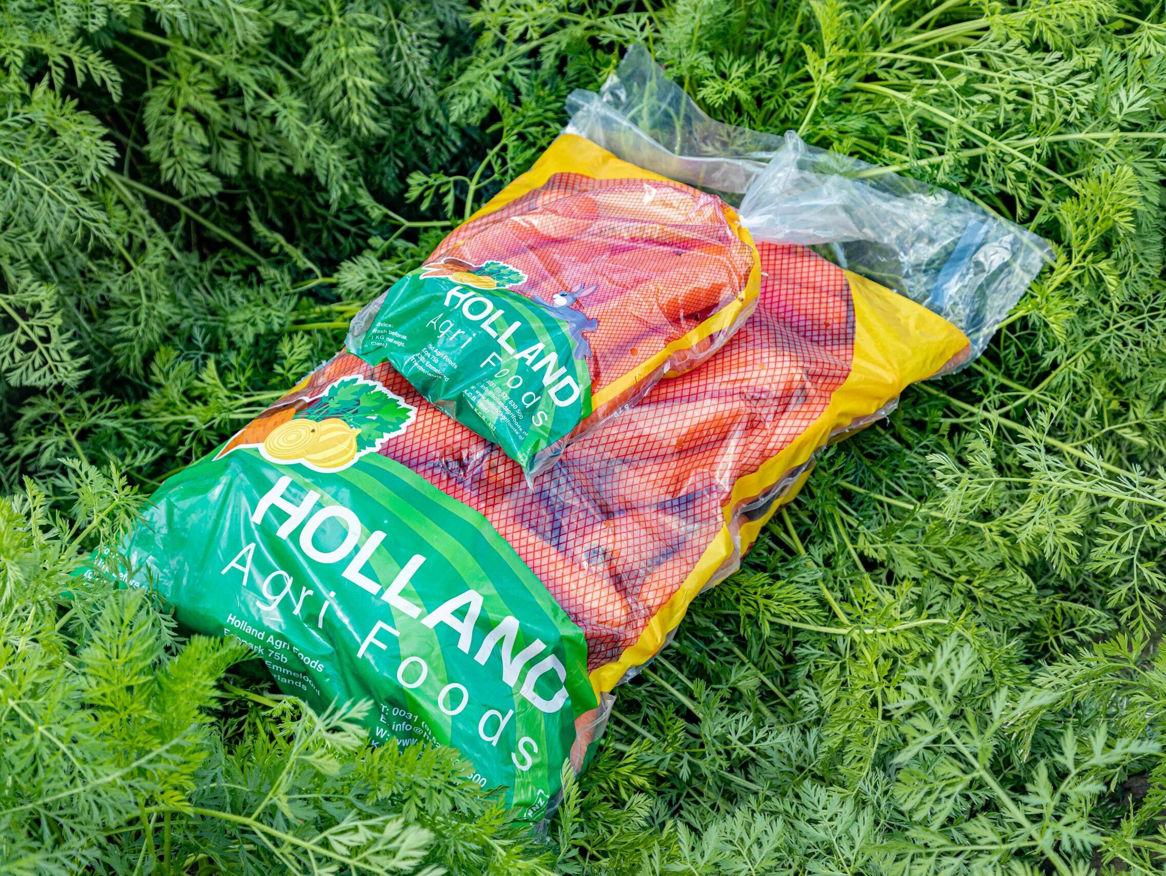 packaging carrots