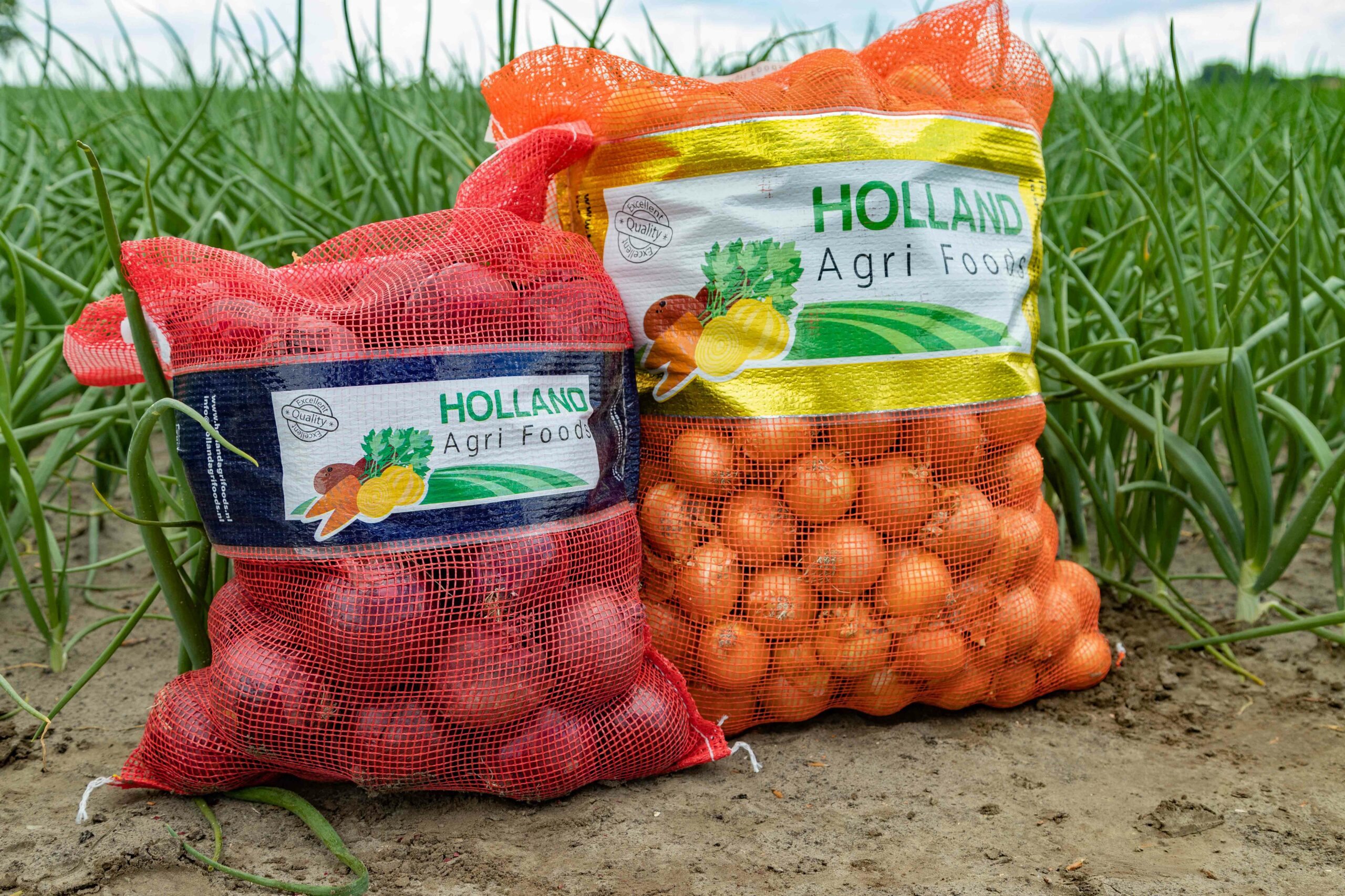 Home Holland Agri Foods Emmeloord